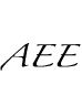 Association for Experiential Education logo